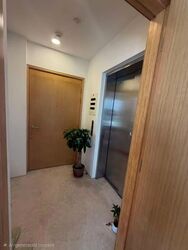 Rhapsody On Mount Elizabeth (D9), Apartment #581358951